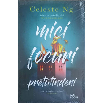 MICI FOCURI PRETUTINDENI