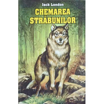 CHEMAREA STRABUNILOR