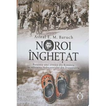 NOROI INGHETAT. POVESTEA UNEI EVREICE DIN ROMANIA IN VALTOAREA HOLOCAUSTULUI DIN TRANSILVANIA
