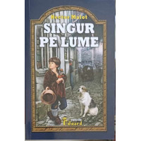 SINGUR PE LUME SINGUR PE LUME