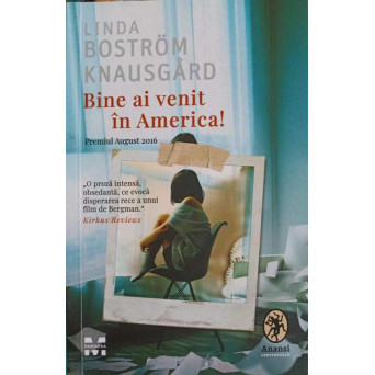 BINE AI VENIT IN AMERICA!