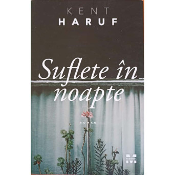 SUFLETE IN NOAPTE