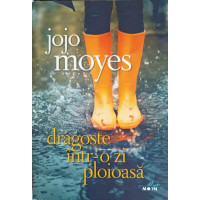 DRAGOSTE INTR-O ZI PLOIOASA DRAGOSTE INTR-O ZI PLOIOASA