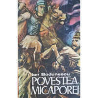 POVESTEA MICAPOREI POVESTEA MICAPOREI