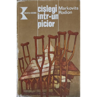 CASLEGI INTR-UN PICIOR
