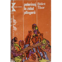 PELERINAJ LA ZIDUL PLANGERII. DESTINE PARALELE PELERINAJ LA ZIDUL PLANGERII. DESTINE PARALELE