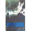 PROFESORUL