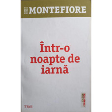 INTR-O NOAPTE DE IARNA