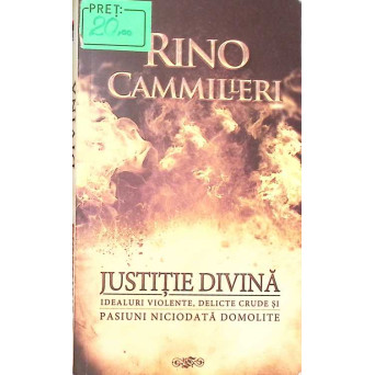 JUSTITIE DIVINA. IDEALURI VIOLENTE, DELICATE, CRUDE SI PASIUNI NICIODATA DOMOLITE