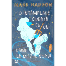 O INTAMPLARE CIUDATA CU UN CAINE LA MIEZUL NOPTII
