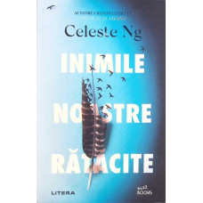 INIMILE NOASTRE RATACITE
