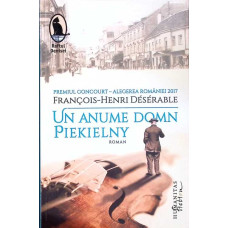 UN ANUME DOMN PIEKIELNY