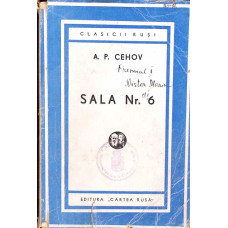 SALA NR. 6