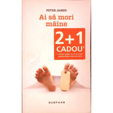 AI SA MORI MAINE