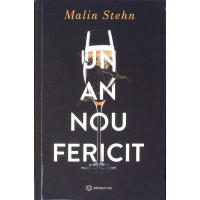 UN AN NOU FERICIT UN AN NOU FERICIT