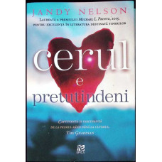 CERUL E PRETUTINDENI