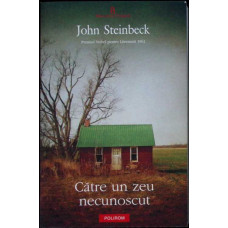 CATRE UN ZEU NECUNOSCUT