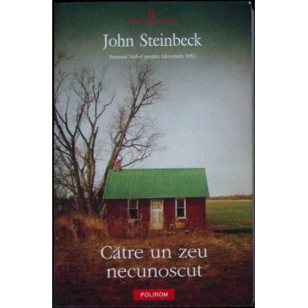 CATRE UN ZEU NECUNOSCUT