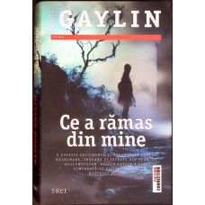 CE A RAMAS DIN MINE
