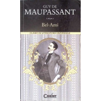 BEL-AMI