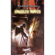 ANGELUS NOVUS