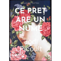 CE PRET ARE UN NUME CE PRET ARE UN NUME