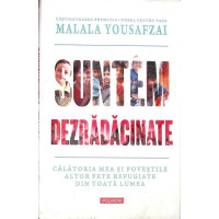 SUNTEM DEZRADACINATE
