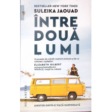 INTRE DOUA LUMI