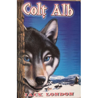 COLT ALB