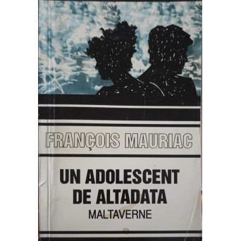 UN ADOLESCENT DE ALTADATA. MALTAVERNE
