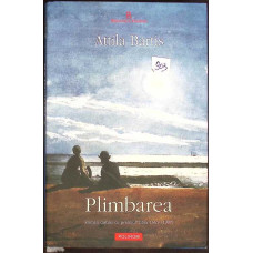 PLIMBAREA