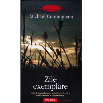ZILE EXEMPLARE