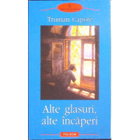 ALTE GLASURI, ALTE INCAPERI ALTE GLASURI, ALTE INCAPERI
