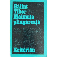 MAIMUTA PLANGAREATA MAIMUTA PLANGAREATA