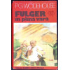 FULGER IN PLINA VARA