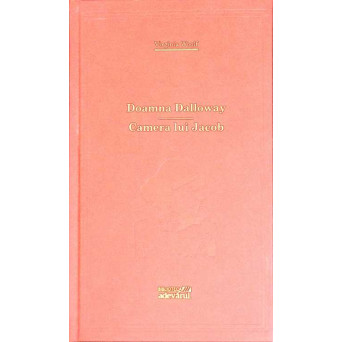DOAMNA DALLOWAY. CAMERA LUI JACOB