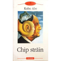 CHIP STRAIN CHIP STRAIN