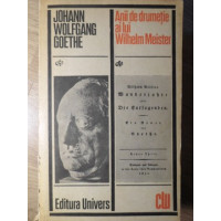 ANII DE DRUMETIE AI LUI WILHELM MEISTER ANII DE DRUMETIE AI LUI WILHELM MEISTER