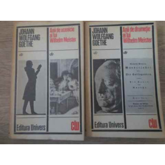 ANII DE UCENICIE AI LUI WILHELM MEISTER. ANII DE DRUMETIE AI LUI WILHELM MEISTER VOL.1-2