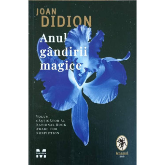 ANUL GANDIRII MAGICE