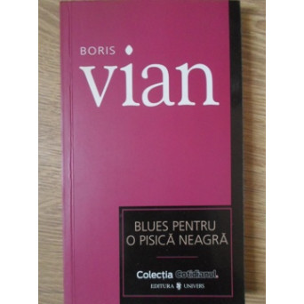 BLUES PENTRU O PISICA NEAGRA. NUVELE