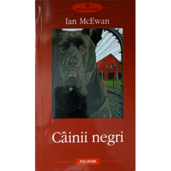CAINII NEGRI