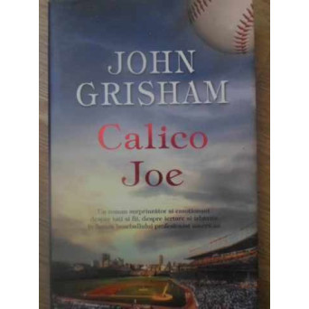 CALICO JOE