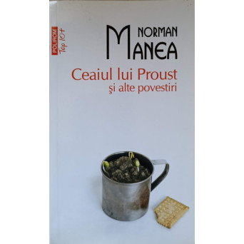 CEAIUL LUI PROUST SI ALTE POVESTIRI