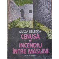 CENUSA. INCENDIU INTRE MASLINI CENUSA. INCENDIU INTRE MASLINI