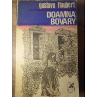 DOAMNA BOVARY DOAMNA BOVARY