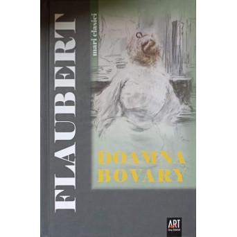 DOAMNA BOVARY. MORAVURI DE PROVINCIE