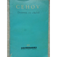DOAMNA CU CATELUL