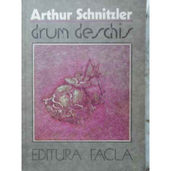 DRUM DESCHIS