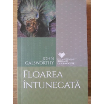 FLOAREA INTUNECATA